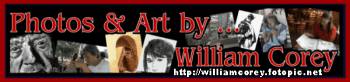 Photo's & Art by William Corey - www.williamcorey.fotopic.net